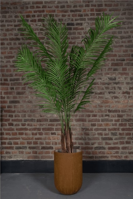 areca artificiel