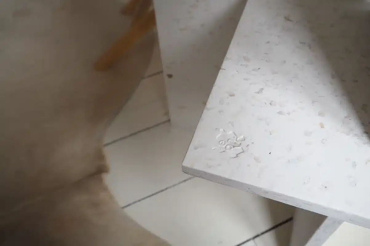 table t 01 le pavé
