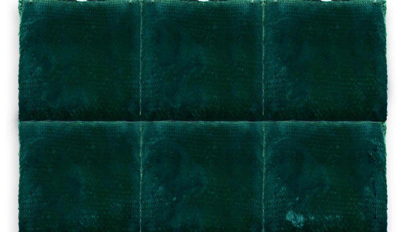 Ensemble de spiruline surgelée en morceaux, texture solide et couleur verte profonde.